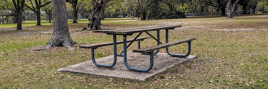 From Chains to Cameras: The Best Tools to Prevent Commercial Picnic Table Theft
